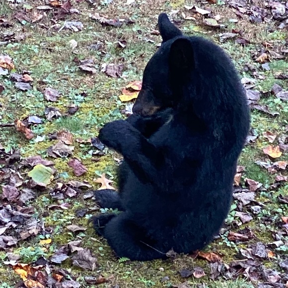 cathylperry Follow me for Live Shows!!! - Picture 3 of 8